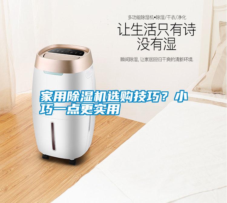 家用除濕機(jī)選購(gòu)技巧?小巧一點(diǎn)更實(shí)用