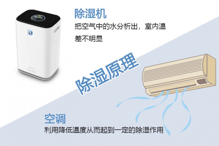 南方梅雨季，怎樣不讓“霉運”肆無忌憚？