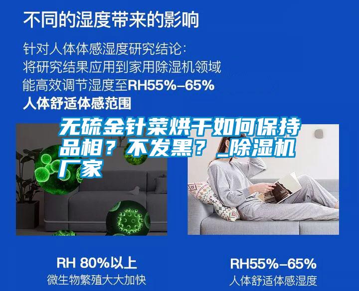 無硫金針菜烘干如何保持品相？不發黑？_除濕機廠家