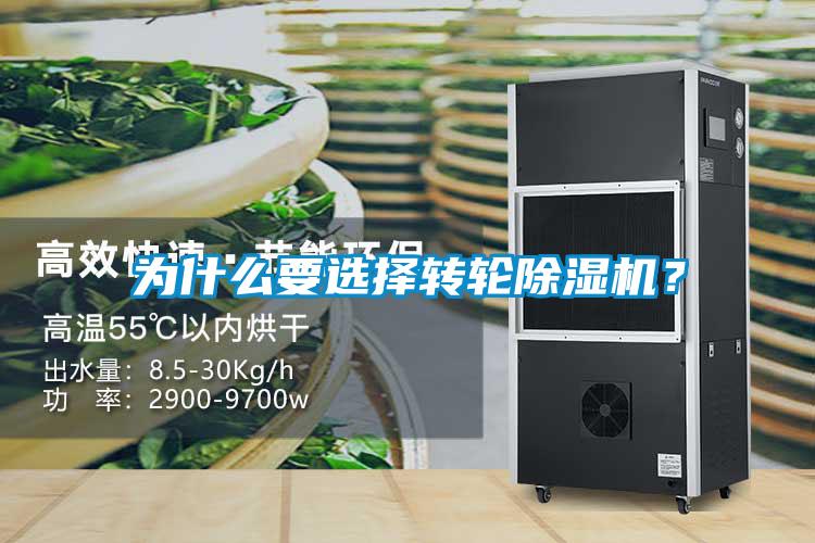 為什么要選擇轉(zhuǎn)輪除濕機(jī)？