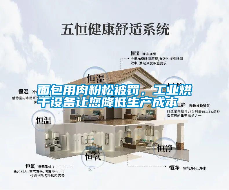 面包用肉粉松被罰，工業(yè)烘干設(shè)備讓您降低生產(chǎn)成本