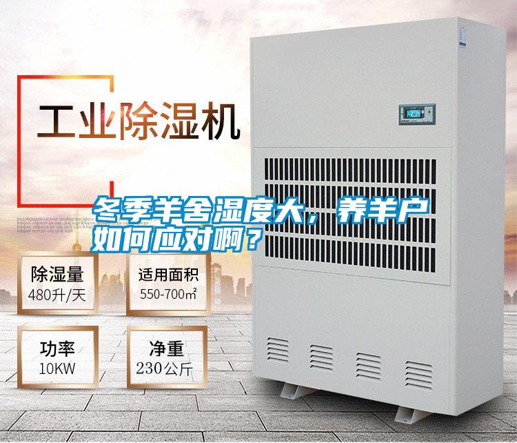 冬季羊舍濕度大，養羊戶如何應對啊？