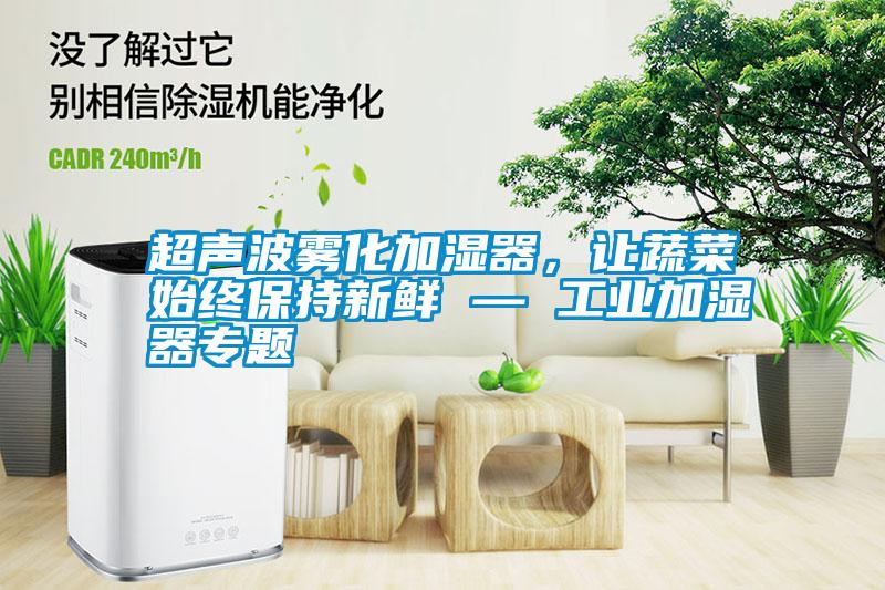超聲波霧化加濕器，讓蔬菜始終保持新鮮 — 工業加濕器專題