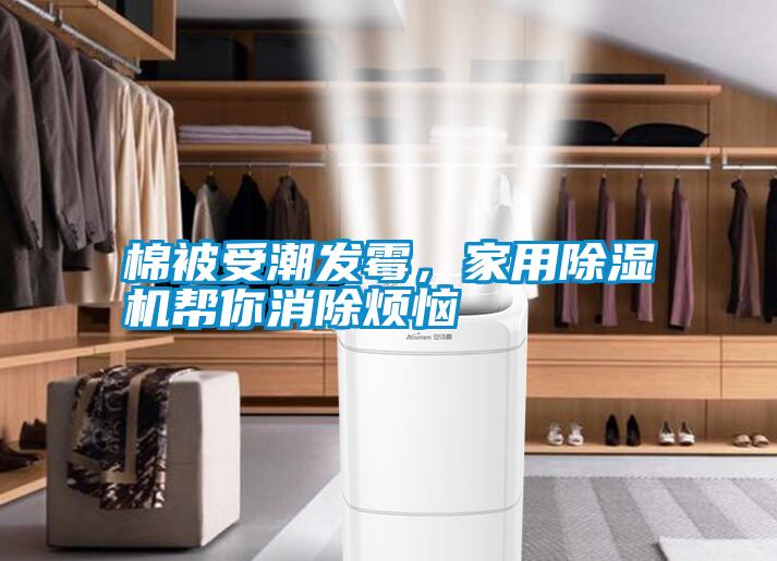 棉被受潮發(fā)霉，家用除濕機(jī)幫你消除煩惱