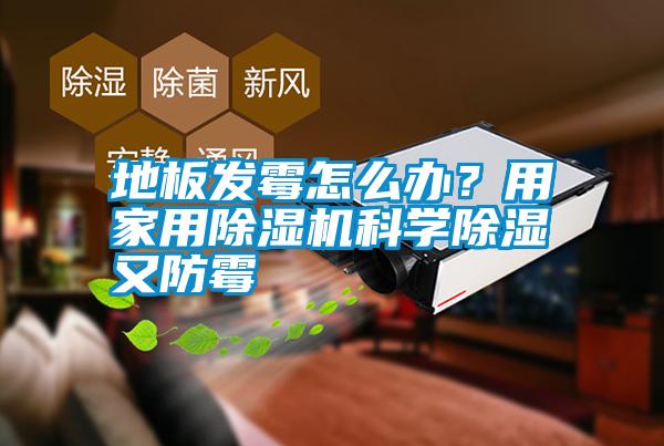 地板發霉怎么辦？用家用除濕機科學除濕又防霉