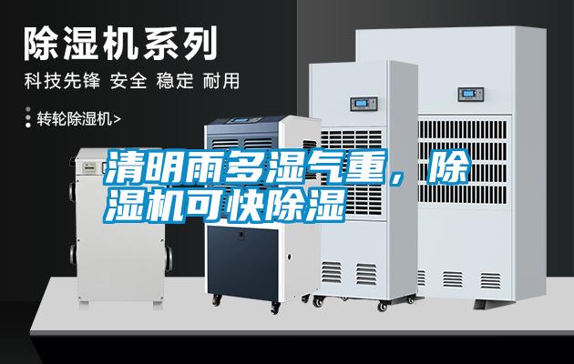 清明雨多濕氣重，除濕機可快除濕