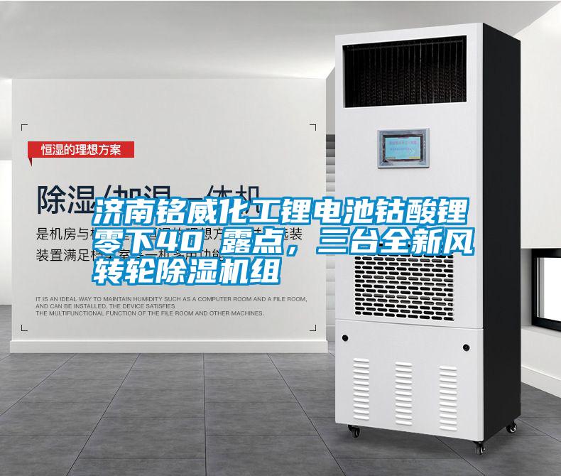 濟南銘威化工鋰電池鈷酸鋰零下40℃露點，三臺全新風轉輪除濕機組