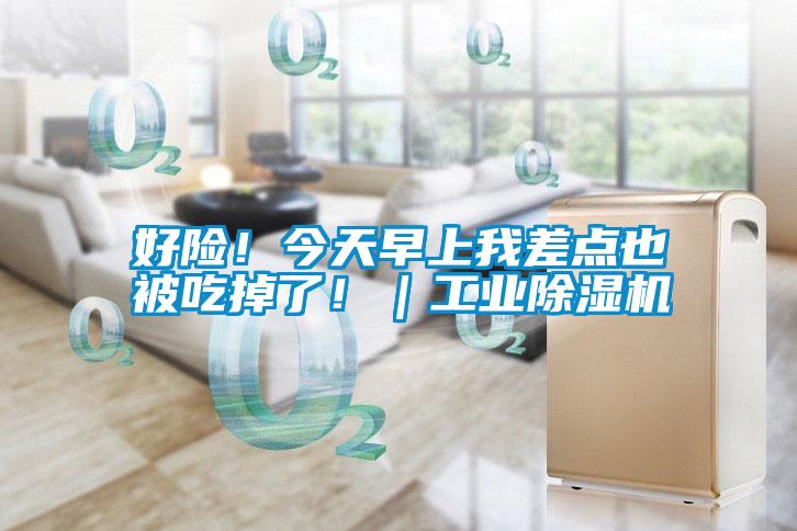 好險(xiǎn)！今天早上我差點(diǎn)也被吃掉了?。I(yè)除濕機(jī)
