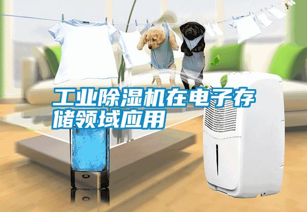 工業(yè)除濕機(jī)在電子存儲領(lǐng)域應(yīng)用