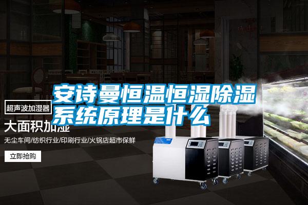 安詩曼恒溫恒濕除濕系統(tǒng)原理是什么