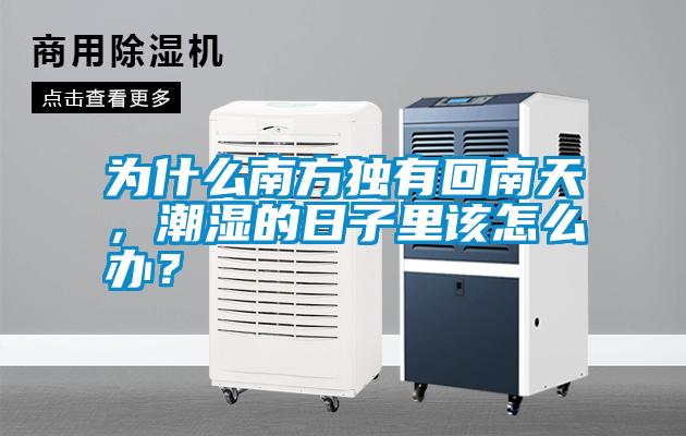 為什么南方獨有回南天，潮濕的日子里該怎么辦？
