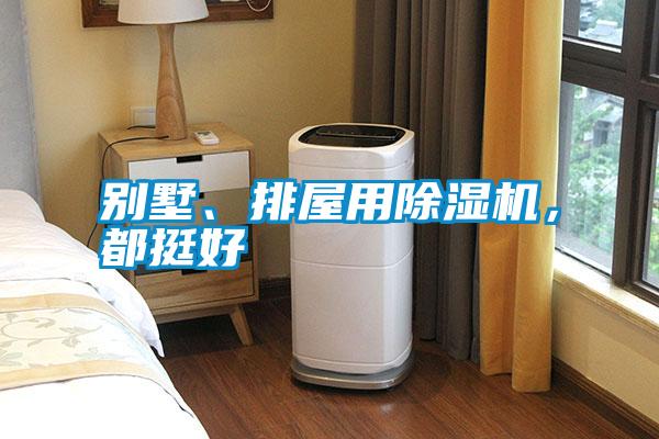 別墅、排屋用除濕機，都挺好