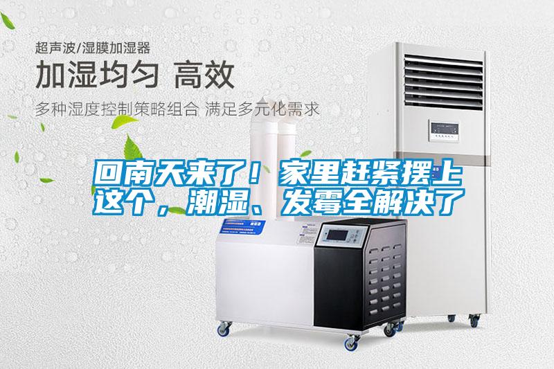 回南天來了！家里趕緊擺上這個，潮濕、發(fā)霉全解決了