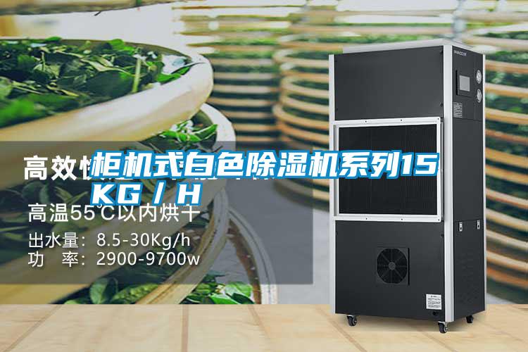 柜機式白色除濕機系列15KG/H