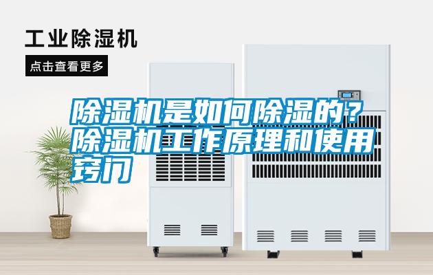 除濕機(jī)是如何除濕的?除濕機(jī)工作原理和使用竅門