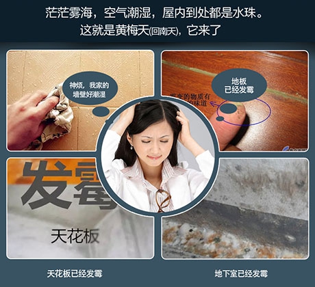 醫藥產品的倉儲環境對溫濕度要求高，工業除濕機提供解決方案