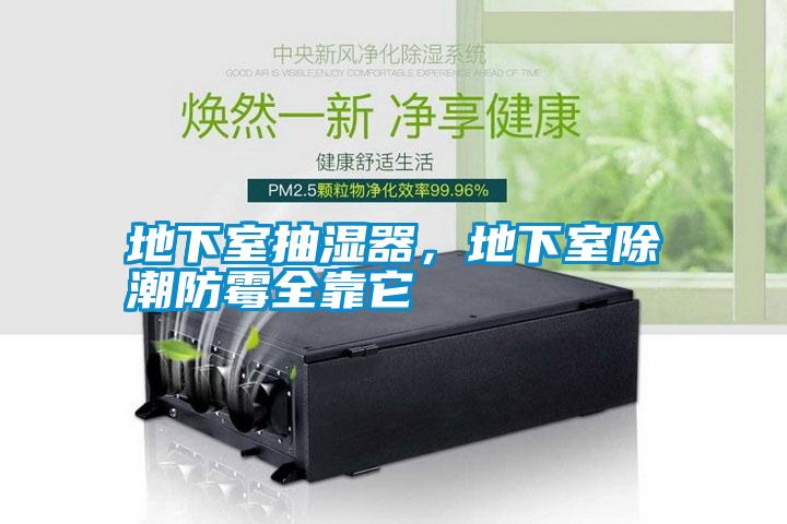 地下室抽濕器，地下室除潮防霉全靠它