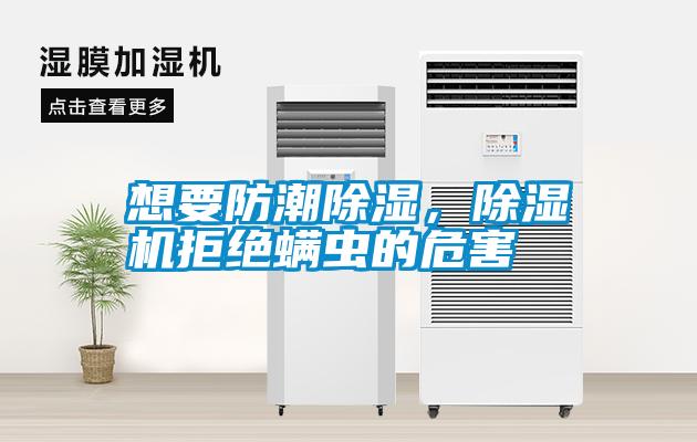 想要防潮除濕，除濕機拒絕螨蟲的危害
