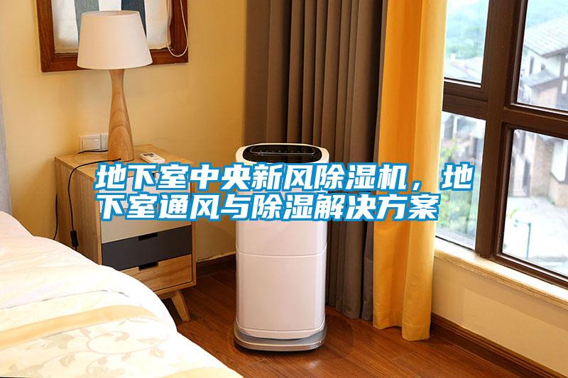 地下室中央新風(fēng)除濕機(jī)，地下室通風(fēng)與除濕解決方案