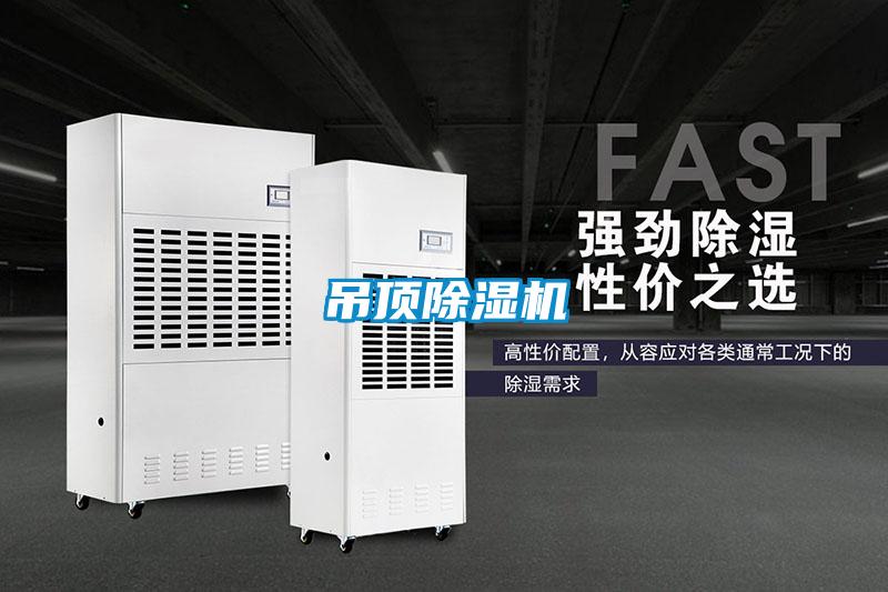 吊頂除濕機