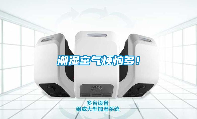 潮濕空氣煩惱多！