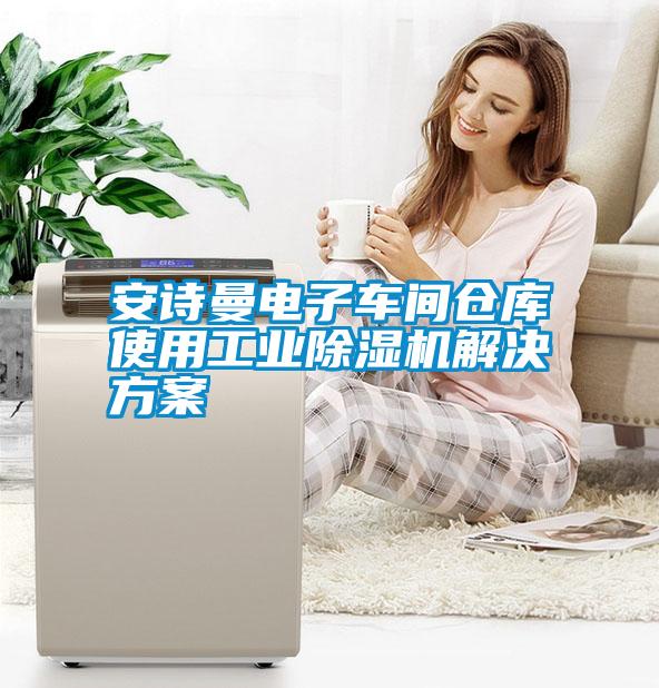 安詩曼電子車間倉庫使用工業除濕機解決方案