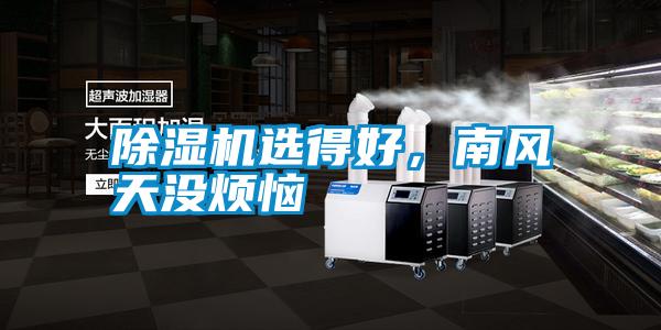 除濕機選得好,南風天沒煩惱