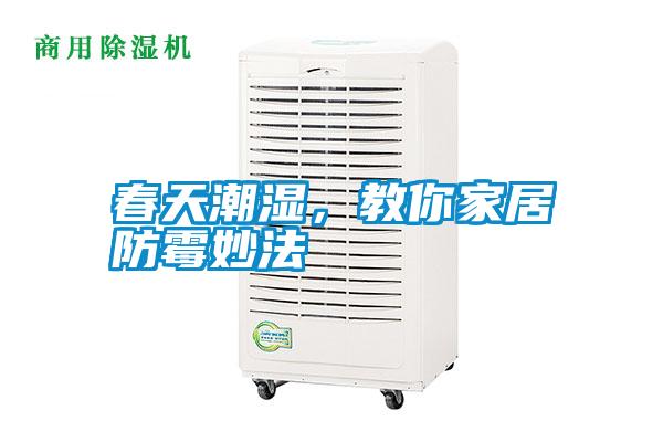 春天潮濕，教你家居防霉妙法