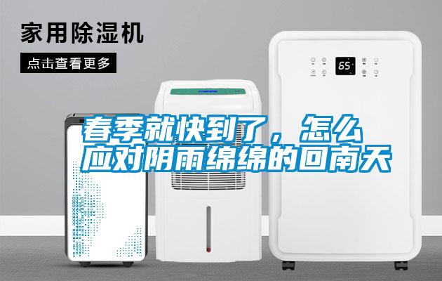 春季就快到了，怎么應對陰雨綿綿的回南天