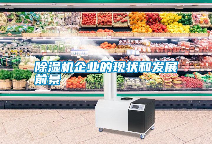 除濕機企業的現狀和發展前景