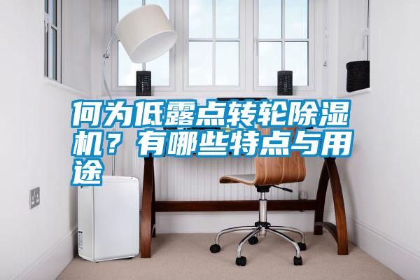 何為低露點轉(zhuǎn)輪除濕機(jī)？有哪些特點與用途