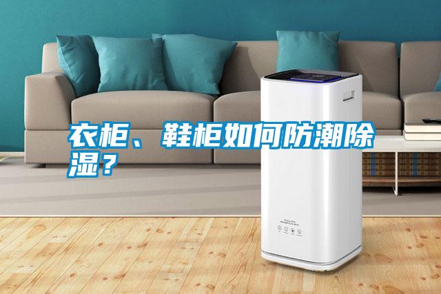 衣柜、鞋柜如何防潮除濕？