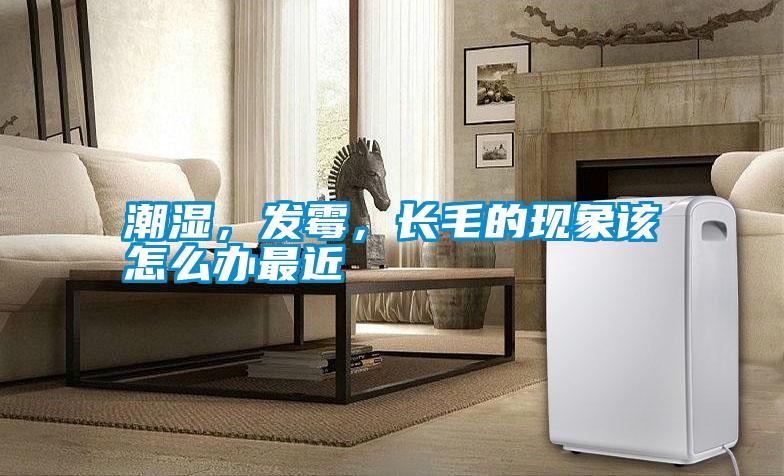 潮濕，發(fā)霉，長(zhǎng)毛的現(xiàn)象該怎么辦最近
