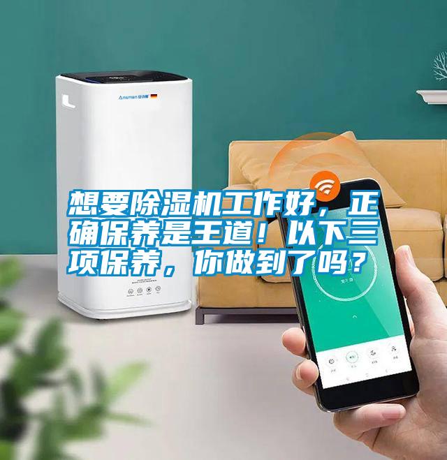 想要除濕機工作好，正確保養是王道！以下三項保養，你做到了嗎？