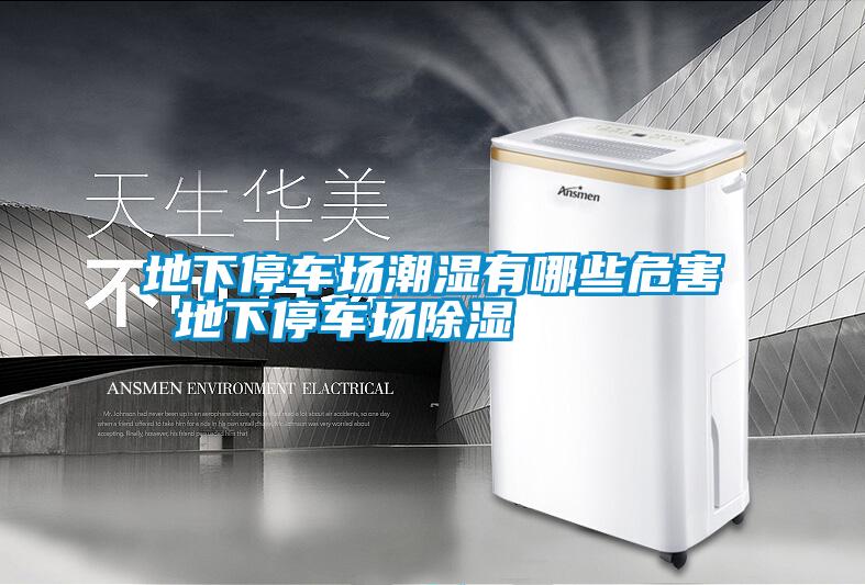 地下停車場(chǎng)潮濕有哪些危害 地下停車場(chǎng)除濕