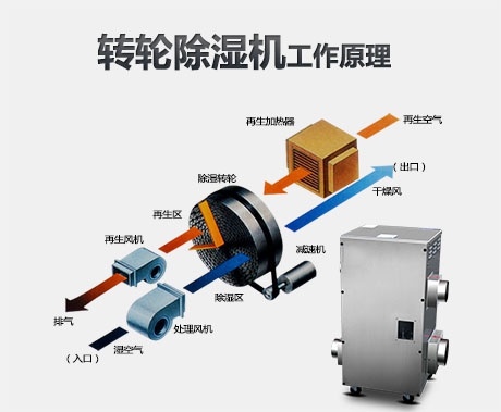 潮濕危害真不小，用除濕機真見效