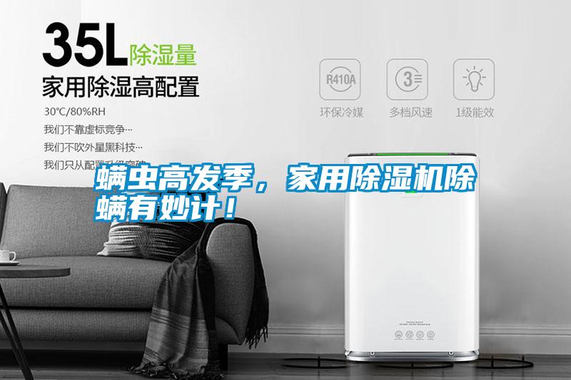 螨蟲高發季，家用除濕機除螨有妙計！