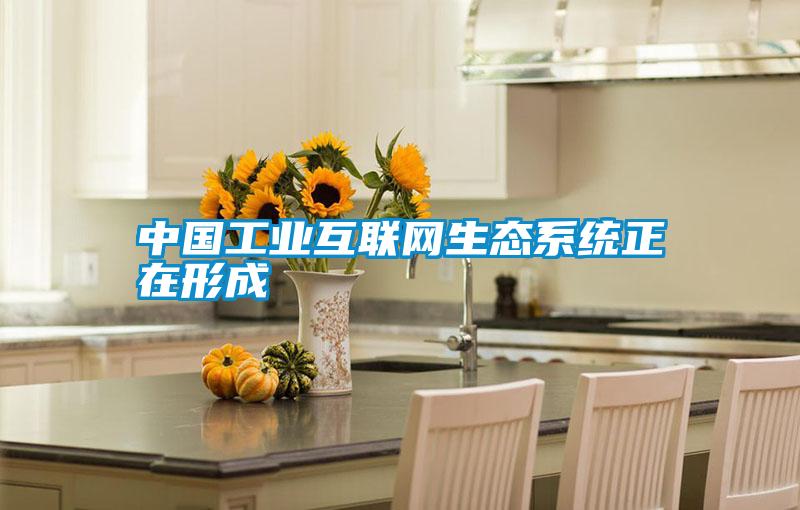 中國工業互聯網生態系統正在形成