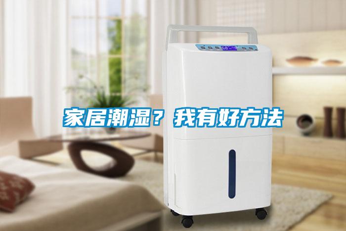 家居潮濕？我有好方法