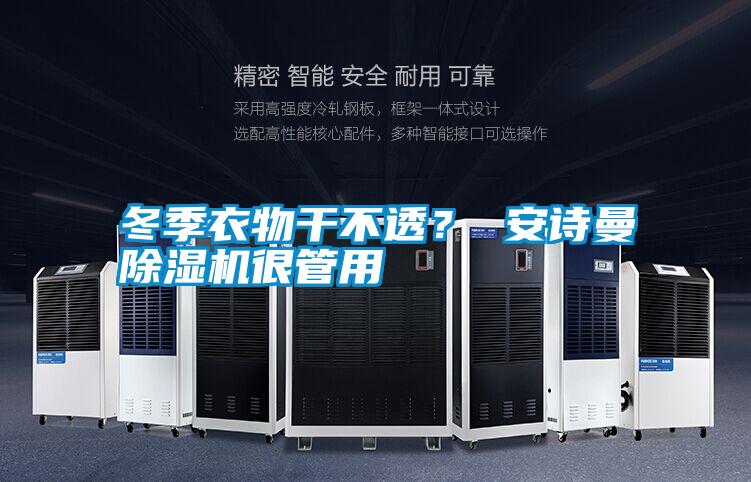 冬季衣物干不透？ 安詩(shī)曼除濕機(jī)很管用