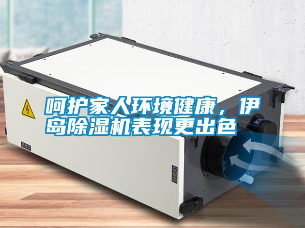 呵護家人環境健康，伊島除濕機表現更出色
