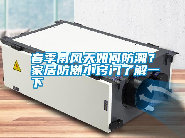 春季南風天如何防潮？家居防潮小竅門了解一下
