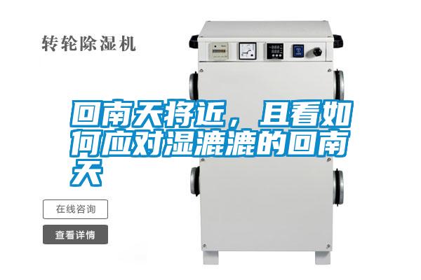 回南天將近，且看如何應對濕漉漉的回南天
