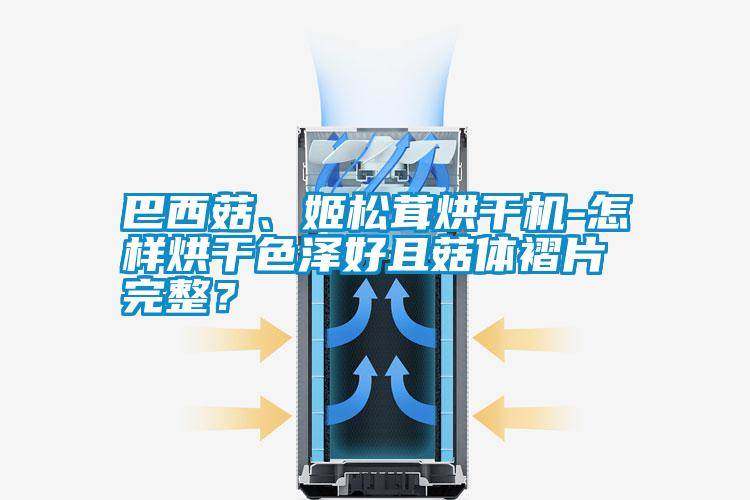 巴西菇、姬松茸烘干機-怎樣烘干色澤好且菇體褶片完整？