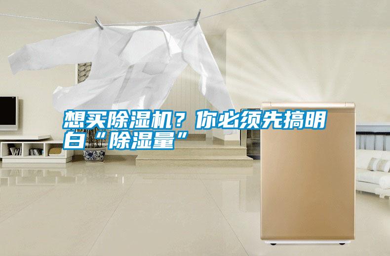 想買除濕機？你必須先搞明白“除濕量”