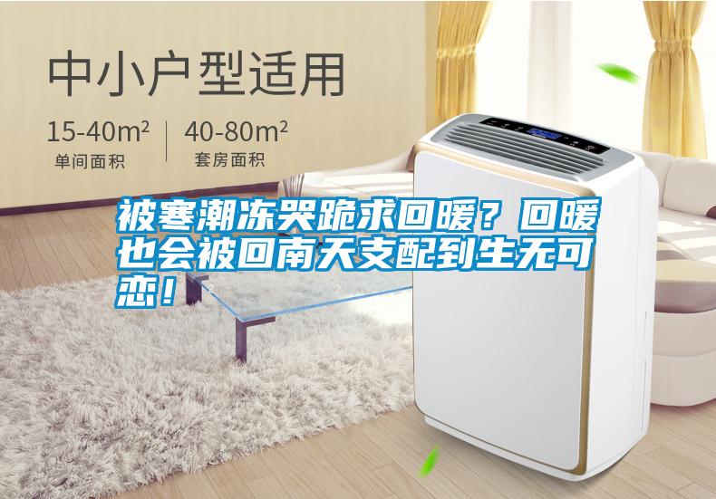 被寒潮凍哭跪求回暖？回暖也會被回南天支配到生無可戀！
