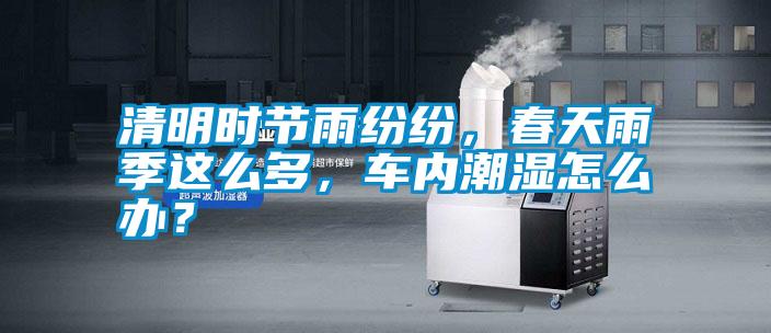 清明時(shí)節(jié)雨紛紛，春天雨季這么多，車內(nèi)潮濕怎么辦？