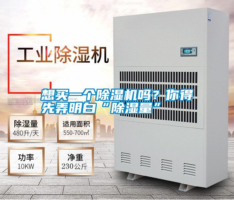 想買一個除濕機嗎？你得先弄明白“除濕量”