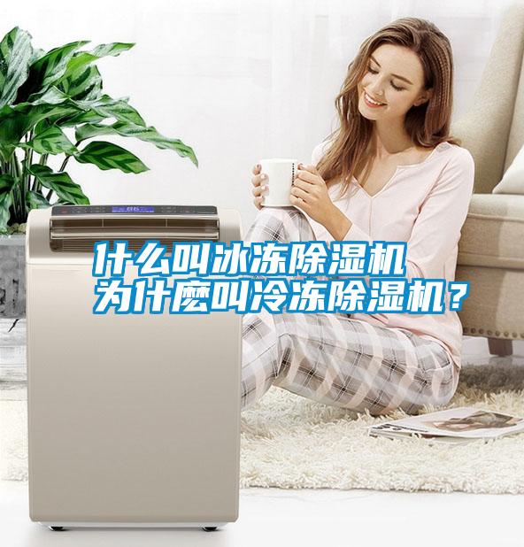 什么叫冰凍除濕機 為什麼叫冷凍除濕機？