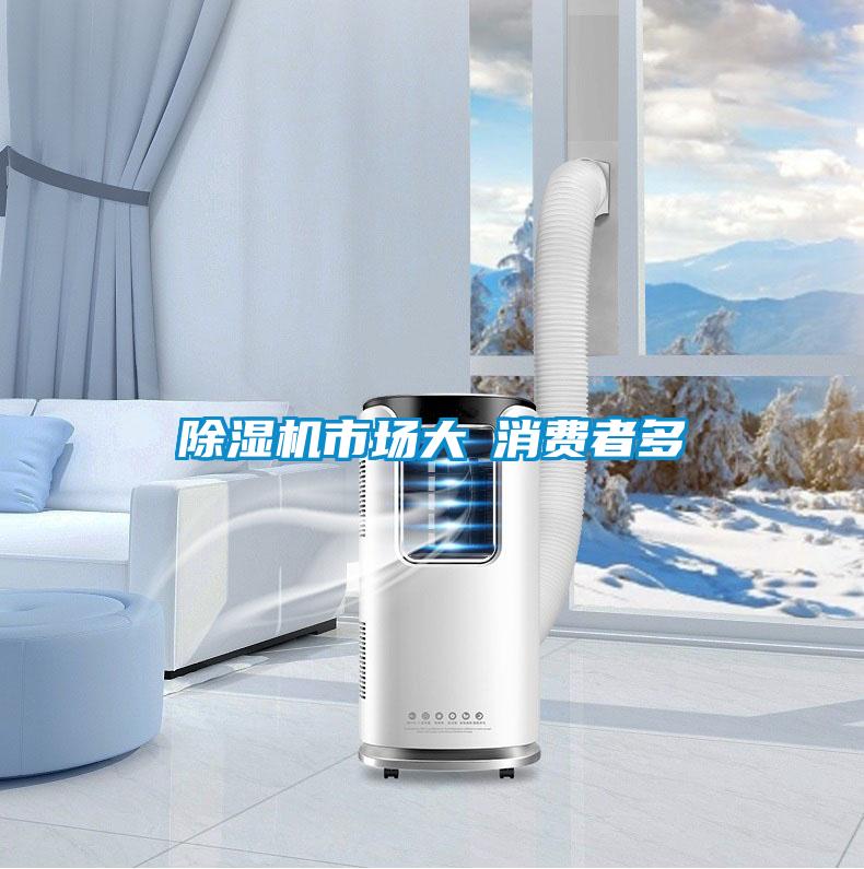 除濕機(jī)市場大≠消費(fèi)者多